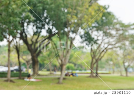 公園、ピクニック、遠足のイメージ写真 公園、ピクニック、遠足のイメージ写真 28931110
