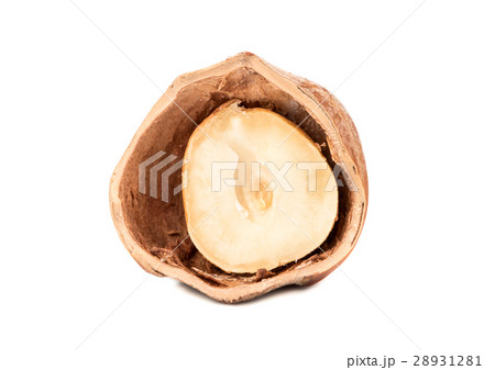 Half of hazelnut 28931281