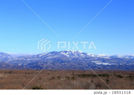 冬の白根山 冬の白根山 28931318