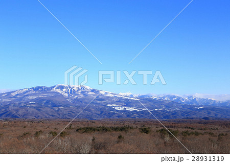冬の白根山 冬の白根山 28931319