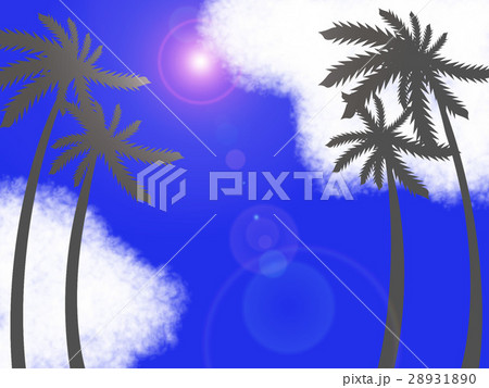 夏のリゾート　ヤシの木　 28931890