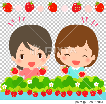 いちご狩りを楽しむ２人の女性 28932061