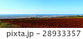 赤土 ラテライト 景色 28933357
