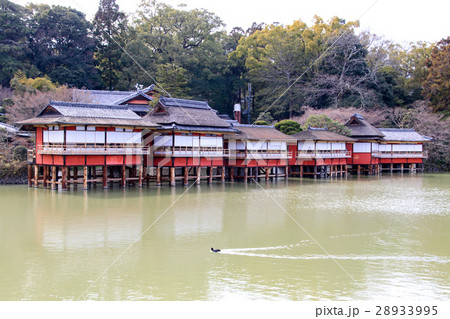 長岡天満宮 28933995