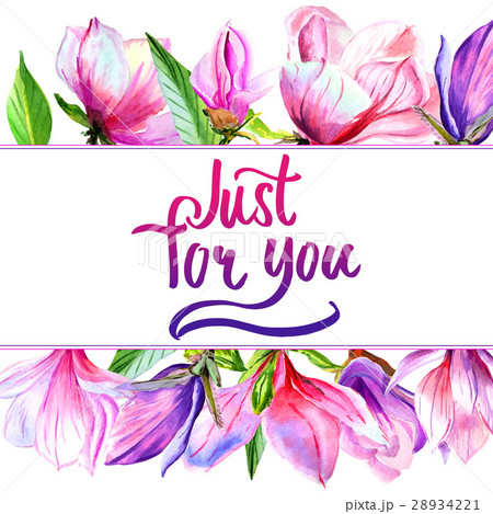 Wildflower magnolia flower frame in a watercolor 28934221