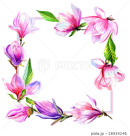 Wildflower magnolia flower frame in a watercolor Wildflower magnolia flower frame in a watercolor 28934246