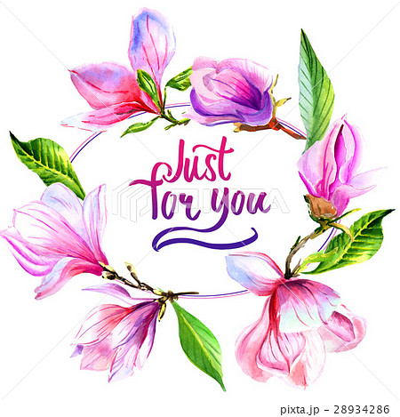 Wildflower magnolia flower frame in a watercolor Wildflower magnolia flower frame in a watercolor 28934286