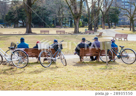 公園の老人 公園の老人 28935550