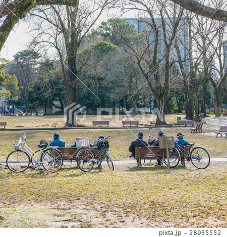 公園の老人 公園の老人 28935552