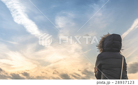 冬の散歩道 28937123