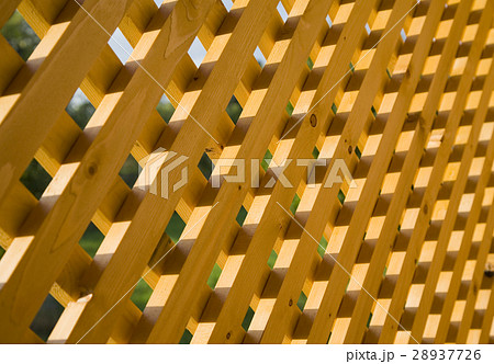 Wooden trellis in sunlight 28937726