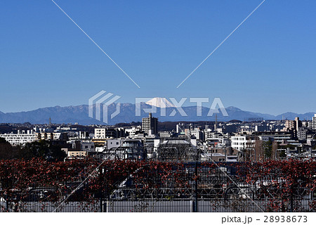 成城不動橋より富士山冬の朝景 28938673