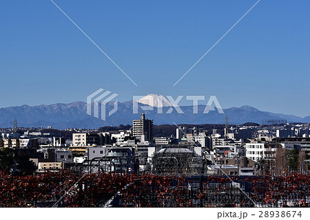 成城不動橋より富士山冬の朝景 28938674