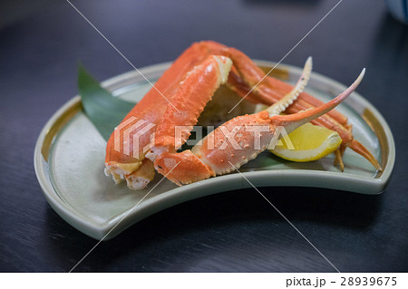 蟹 かに カニ 28939675