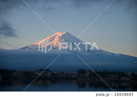 鶏冠 とさか クレスト 28939685