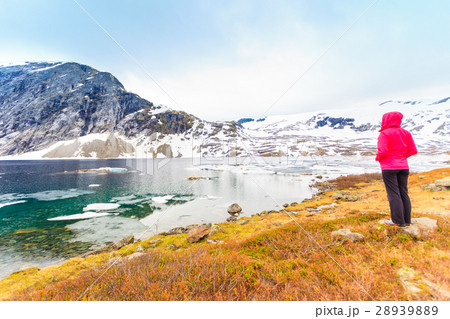 Tourist woman standing by Djupvatnet lake, Norway 28939889