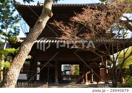 泉岳寺 泉岳寺 28940879