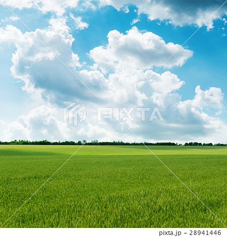 agricultural green field and cloudy sky agricultural green field and cloudy sky 28941446