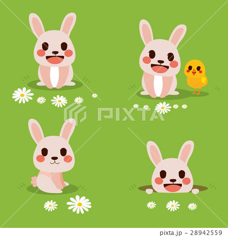 Bunny Easter Bunny Easter 28942559