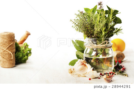 Herbs and spices selection, close up 28944291