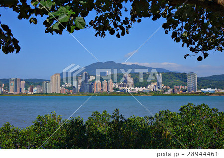 Tamsui cityscape with plant silhouette 28944461