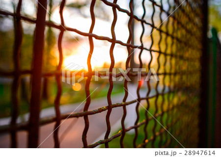 fence with metal grid in perspective fence with metal grid in perspective 28947614