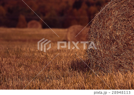 blurred background autumn field haystacks blurred background autumn field haystacks 28948113