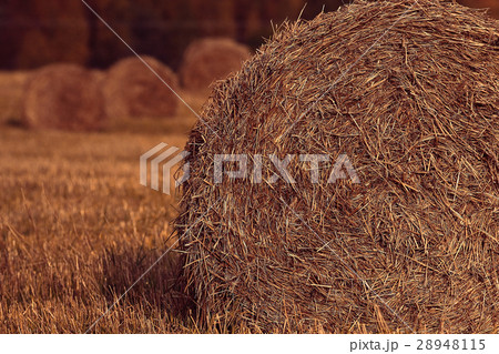 blurred background autumn field haystacks blurred background autumn field haystacks 28948115