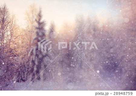 frosty winter morning landscape nature sunny frosty winter morning landscape nature sunny 28948759