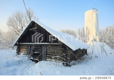 Winter landscape in the countryside forest snow field 28948874