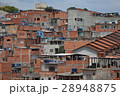 ブラジル　sao paulo brazil 28948875