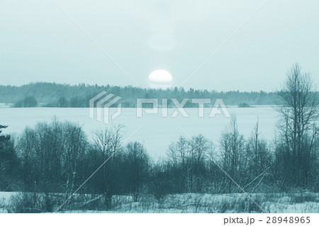 frosty landscape with trees frosty landscape with trees 28948965