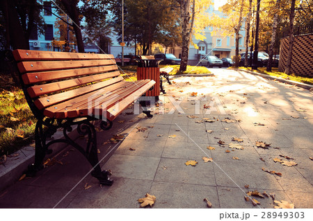 amazing autumn landscape in the city park 28949303