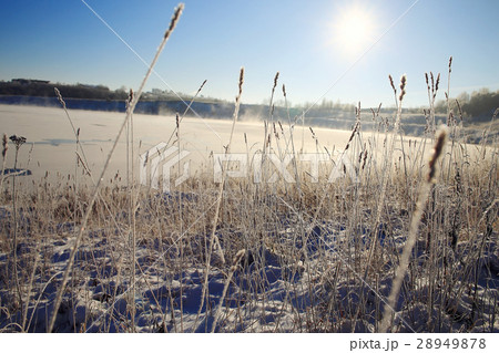 Fresh snow winter background in nature Fresh snow winter background in nature 28949878