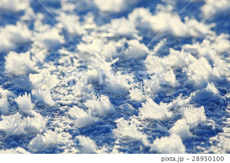 snow texture white blue background snow texture white blue background 28950100