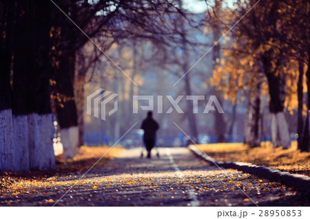 blurred background path in autumn city park 28950853