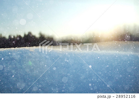 Fresh snow winter background in nature 28952116