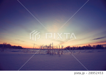 winter landscape with a horizon, field and sky 28952453