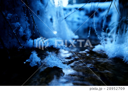 spring background, frost sun spring background, frost sun 28952709