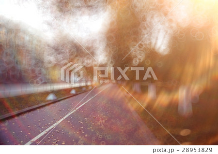 background blur road autumn sunbeams glare 28953829