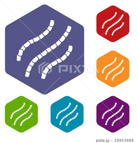 Escherichia coli icons set Escherichia coli icons set 28953989