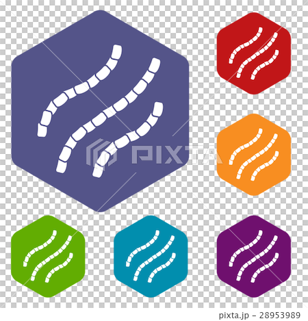 Escherichia coli icons set Escherichia coli icons set 28953989