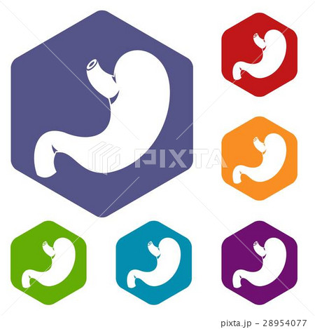 Stomach icons set 28954077