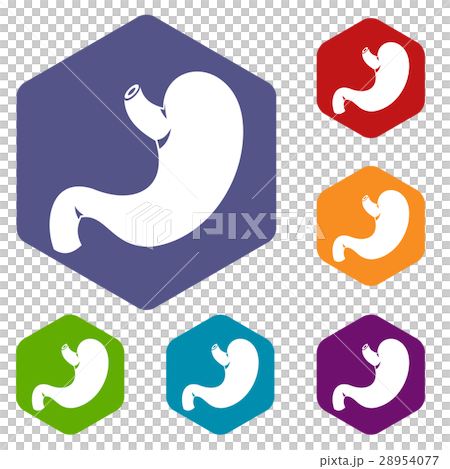 Stomach icons set 28954077