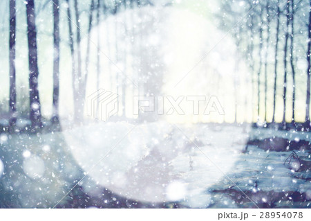 blurred background Snow frame for text Circle trees 28954078