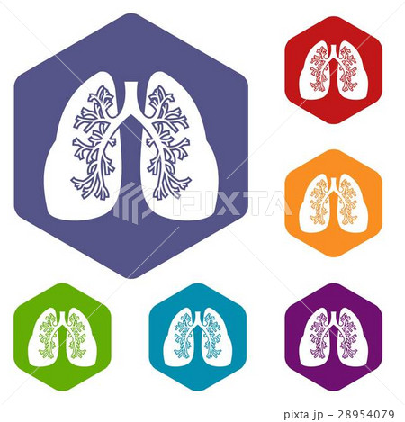 Lungs icons set 28954079