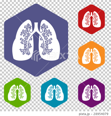 Lungs icons set 28954079