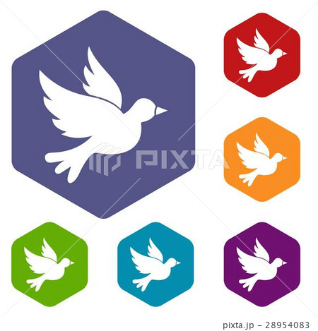 Dove icons set 28954083
