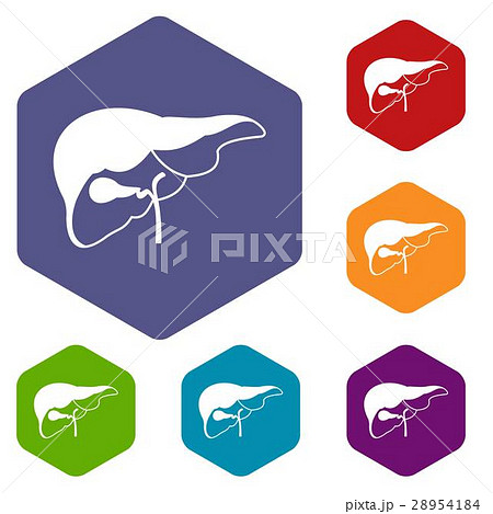 Liver icons set 28954184