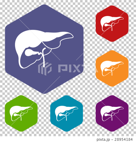 Liver icons set 28954184